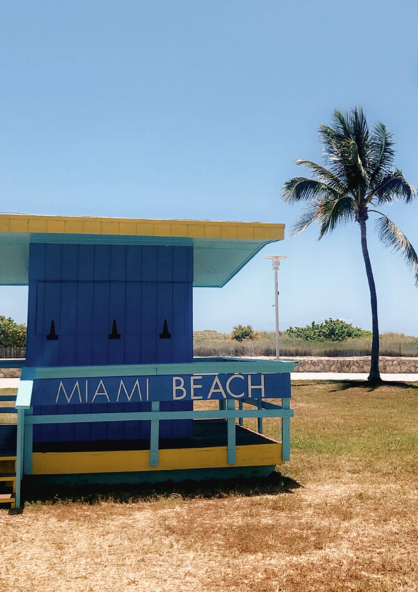 5 Things You Cant Miss in Miami